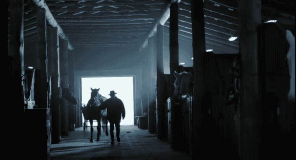 Biedronka – My Polacy