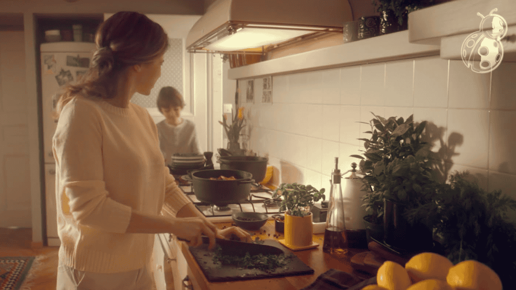 Biedronka Kaczka Polska