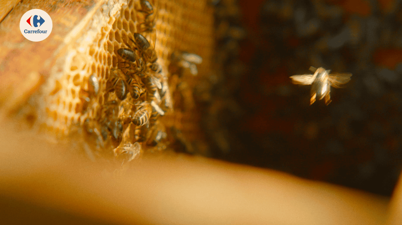 Carrefour Pszczelarz