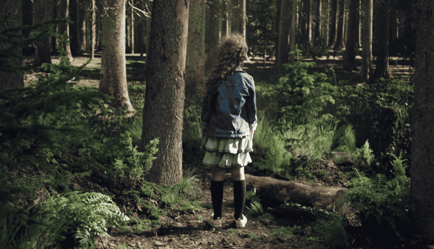 Program Czysta Polska