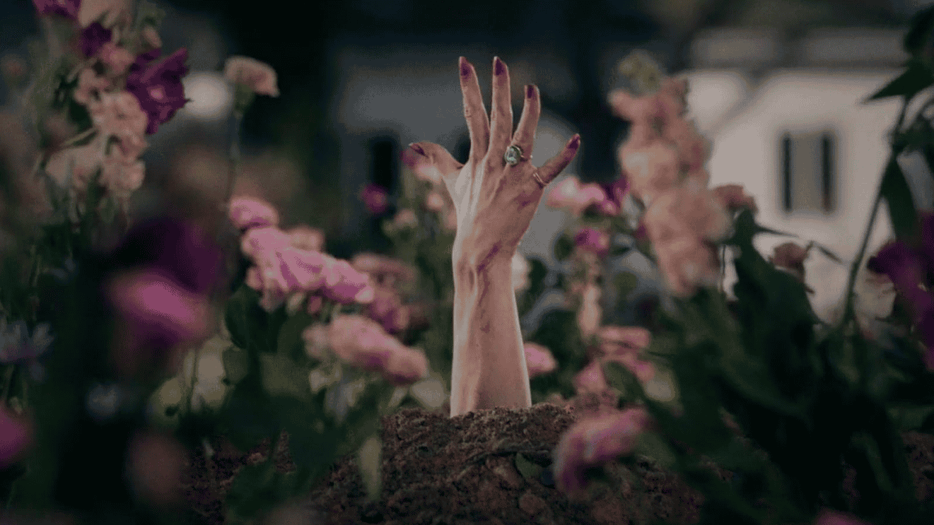 Daria Zawiałow feat Sokół, Michał Kush – Laura