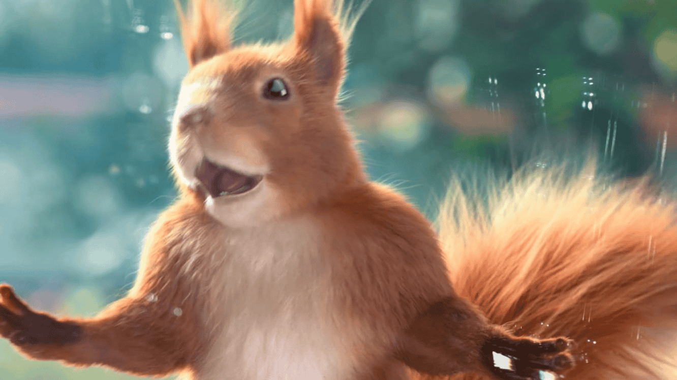 Felix Squirrel