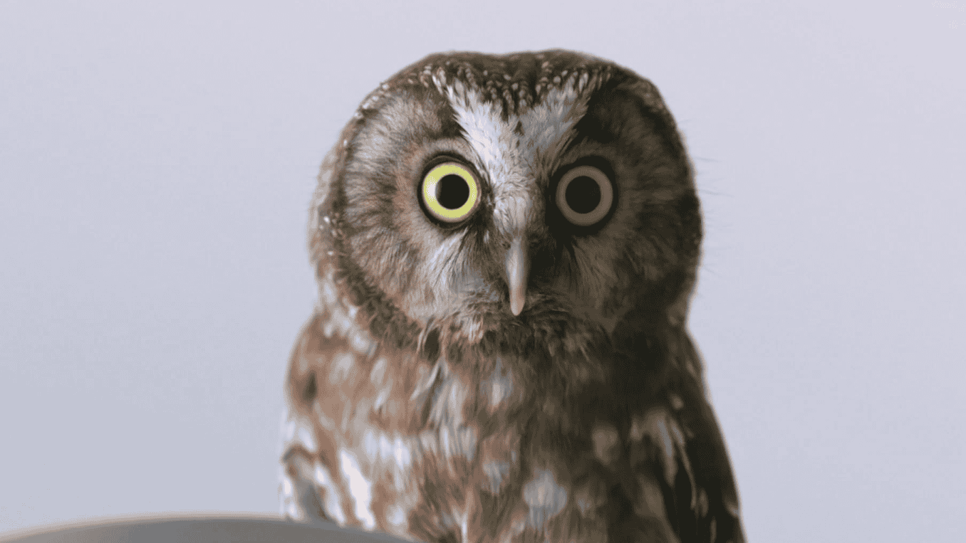 Huawei Mate30 Pro Global Launch