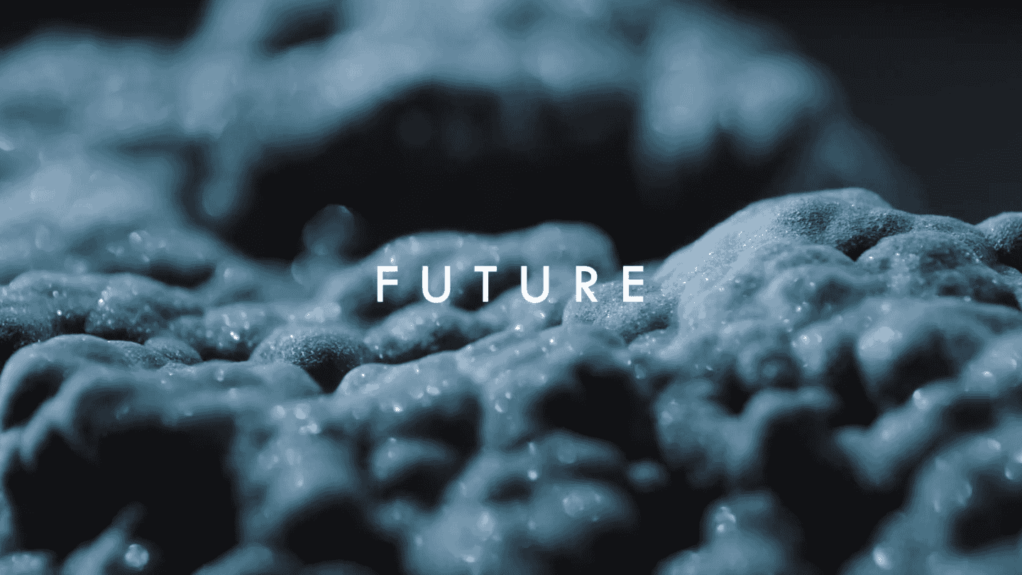 The Kissinger Twins Reel 2024