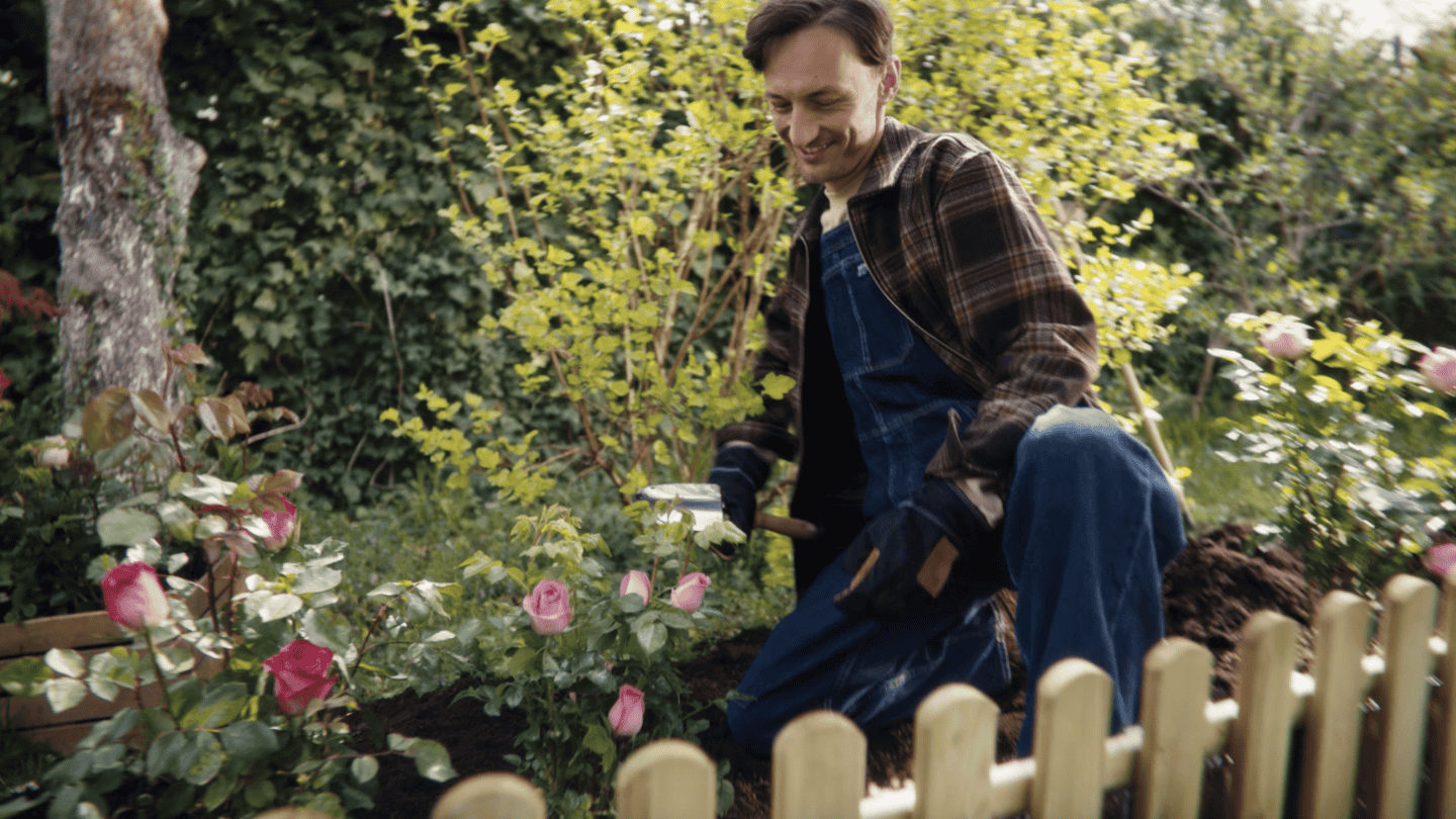 OLX Wypożyczalnia. Teraz do ogrodu