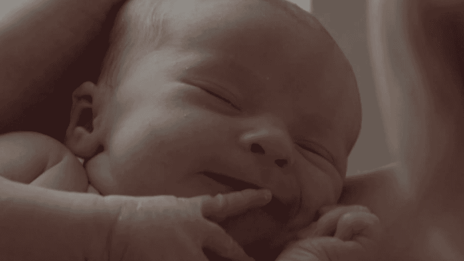 o2 Papaya Young Directors GRAND PRIX