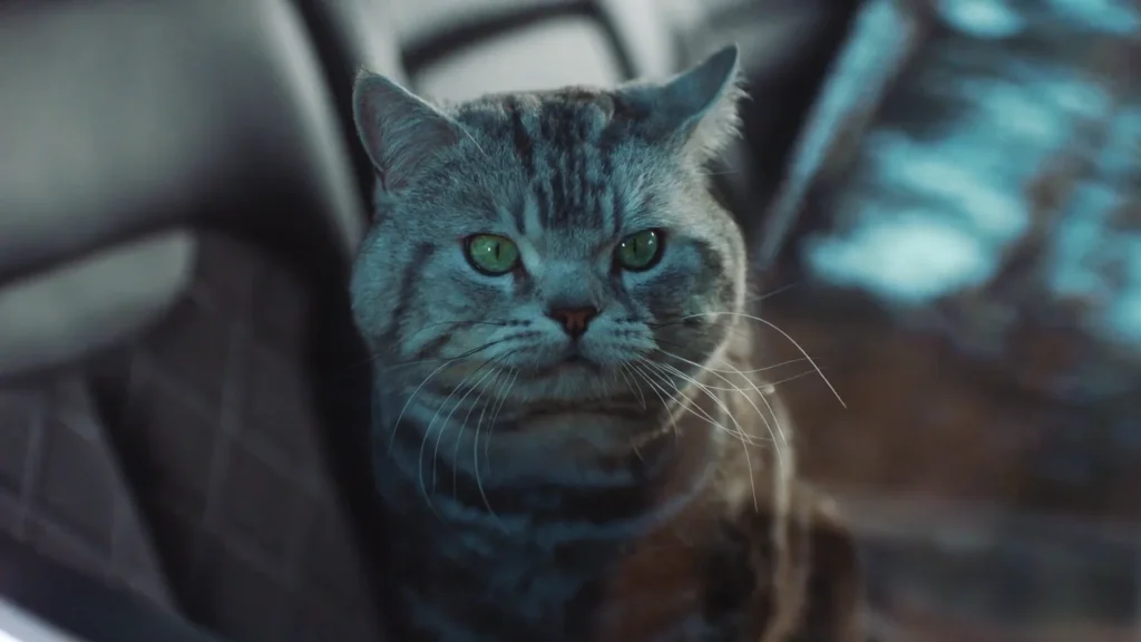 Renault – The Cat