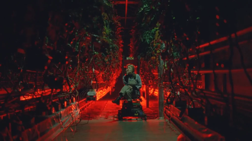 PRO8L3M feat Brodka – ŻAR