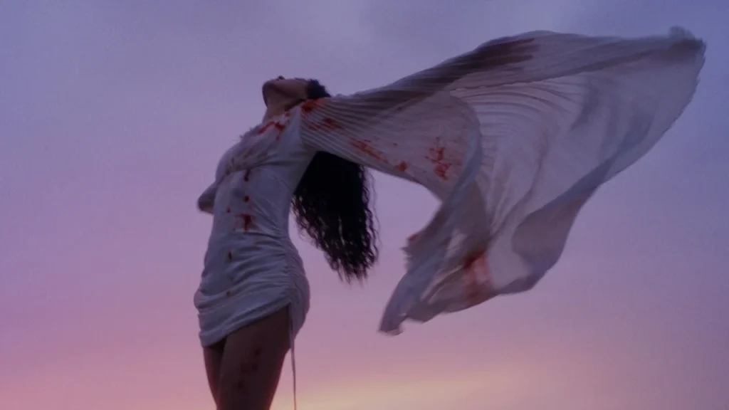 Kasia Lins, WaluśKraksaKryzys – Do śmierci mamy czas