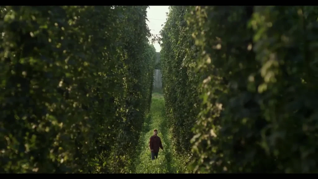 Książęce Fresh Hop Beer