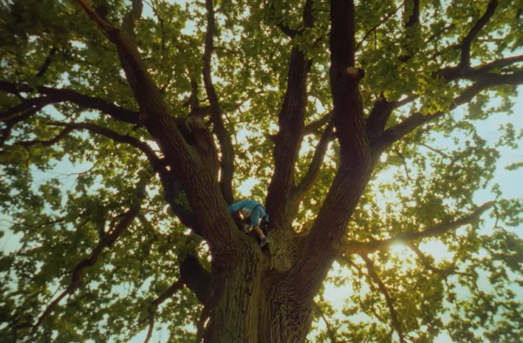 InPost #paczkadlaprzyszłości