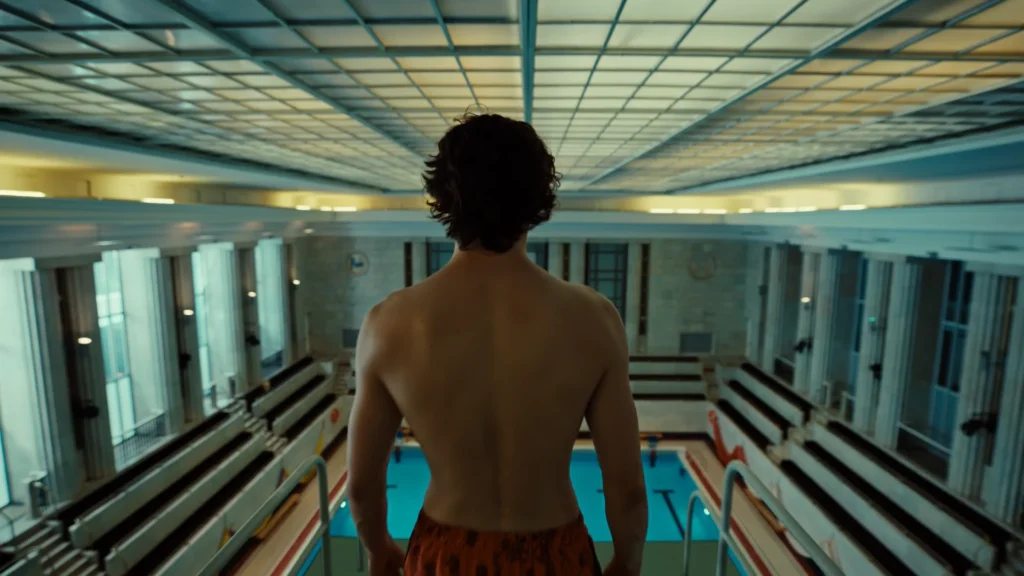 Orange Małe kroki DirCut