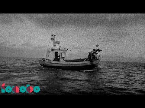 Dawid Tyszkowski – Ćma