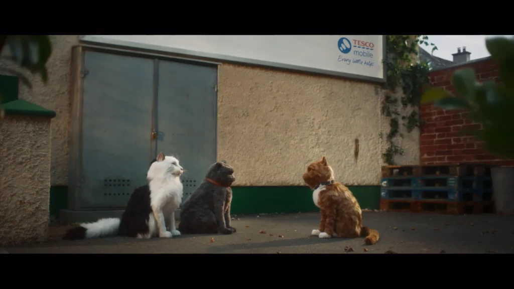Tesco Mobile Cats