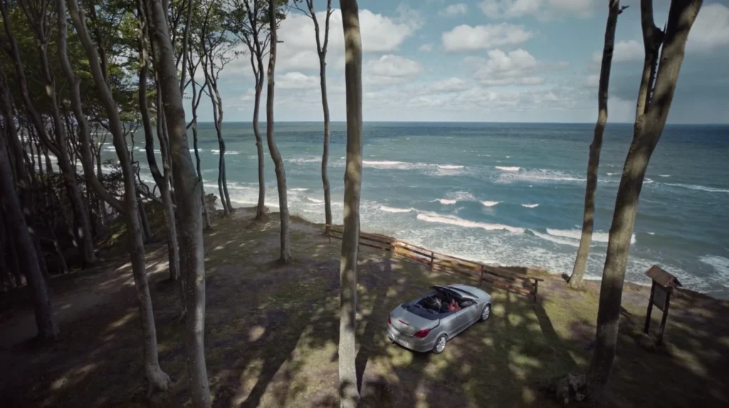 McDonald’s Wrap dircut