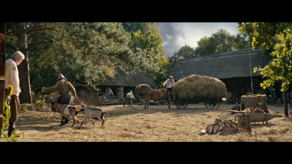 Blik Oddawanie Siana