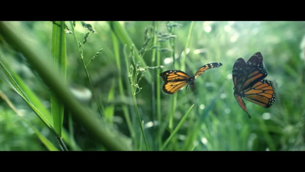 ŻYWIEC ZDRÓJ LOVE STORY