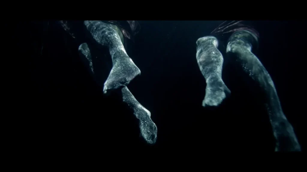 Ballady i Romanse – Przyszłam do miasta