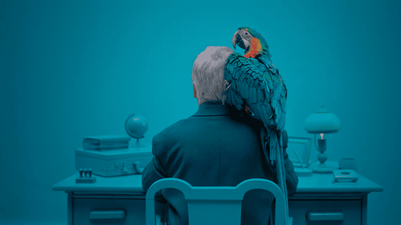 Gazeta.pl San Escobar