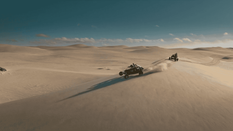 Planeta Warka dircut